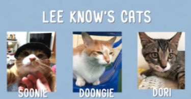 Lee Know Cat Names