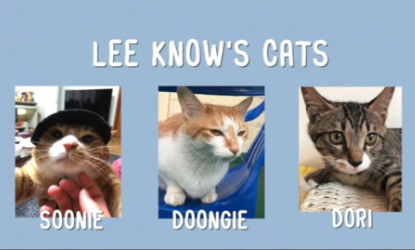 Lee Know Cat Names