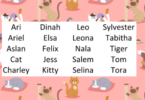 Names for Pink Cats