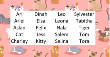 Names for Pink Cats