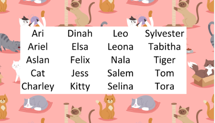 Names for Pink Cats