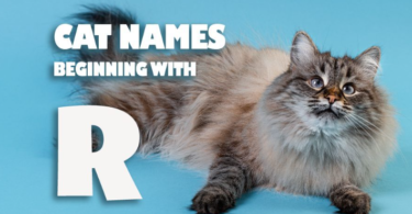 R Names for Cats