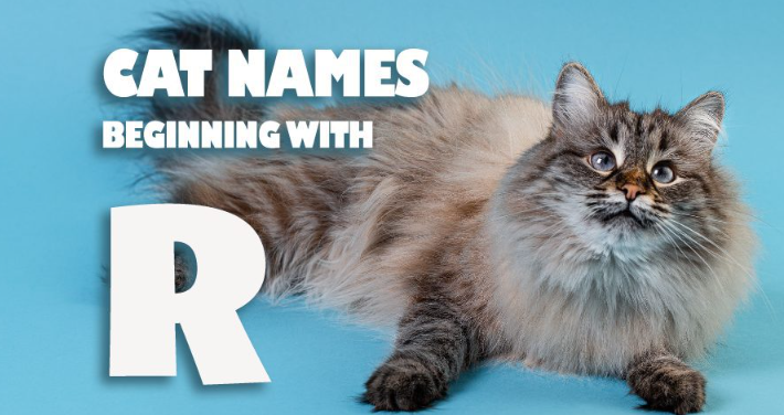 R Names for Cats