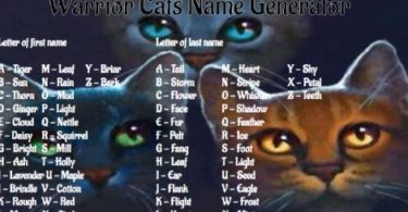 Rare Warrior Cat Names Like Roach