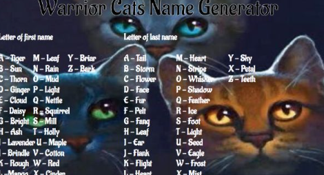 Rare Warrior Cat Names Like Roach