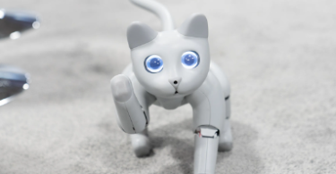 Robot Cat Names