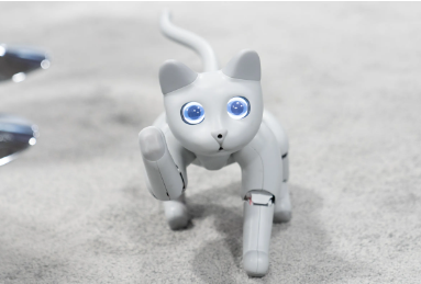 Robot Cat Names