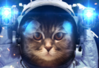 Space Cat Names