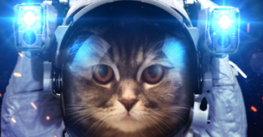 Space Cat Names