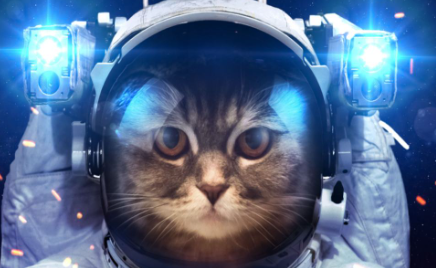 Space Cat Names