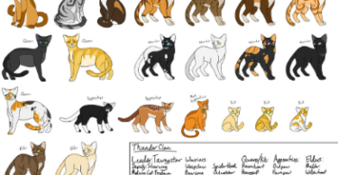 ThunderClan Cat Names