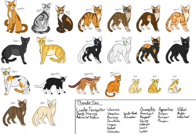 ThunderClan Cat Names