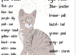 Warrior Cat Names Ideas