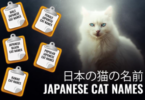 Japanese Names that Mean Cat