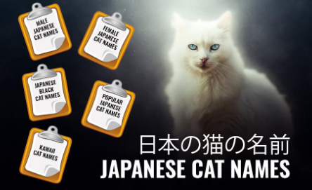 Japanese Names that Mean Cat