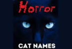 scary movie cat names