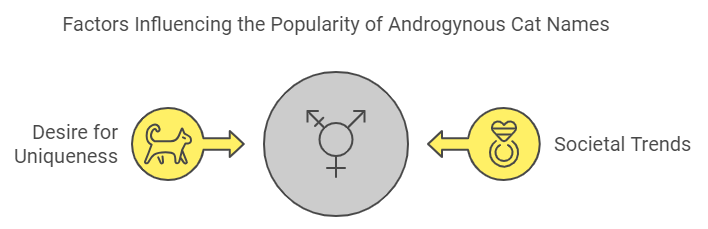 Androgynous Cat Names