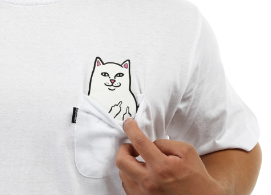 Ripndip Cat Names