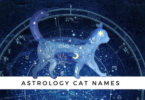 Zodiac Cat Names