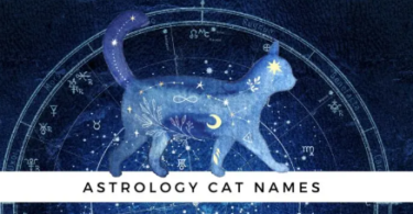 Zodiac Cat Names