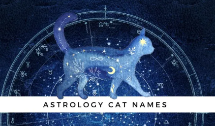 Zodiac Cat Names