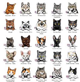 cat names numbered