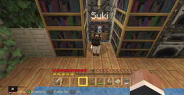 How to Name a Cat in Minecraft