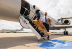 Aviation Names for Dogs