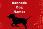 Dog Names in Kannada