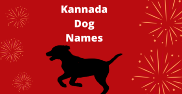 Dog Names in Kannada