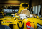 F1 Dog Names