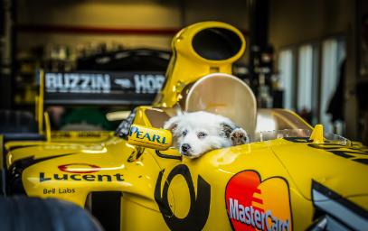 F1 Dog Names