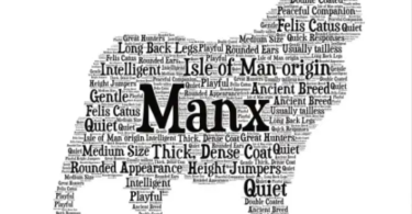 Manx Dog Names