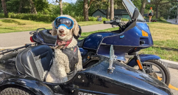 Motorcycle Dog Names