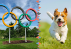 Olympic Dog Names