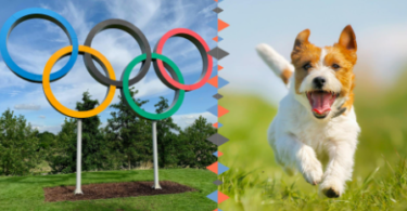 Olympic Dog Names