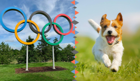 Olympic Dog Names