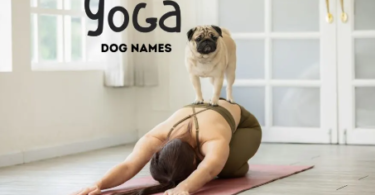 Yoga Dog Names