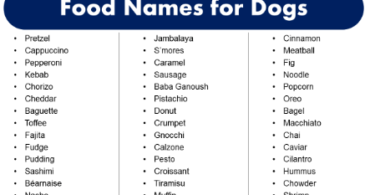 italian food names for dogs