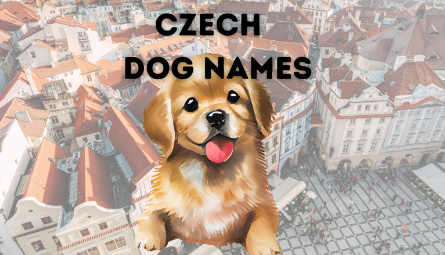 Czech Dog Names