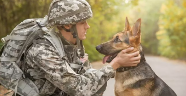 Military Dog Names