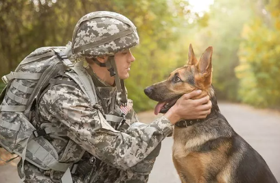 Military Dog Names