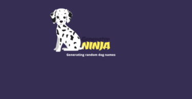 Ninja Dog Names