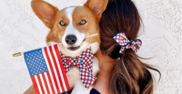 Patriotic Dog Names