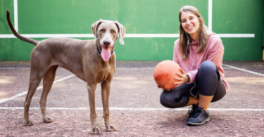 Soccer Dog Names