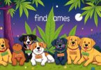 Stoner Dog Names