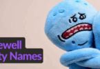 Farewell Party Names