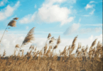 Names That Mean Air