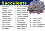 Names for Succulent