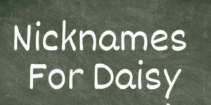 Nicknames for Daisy